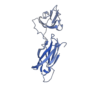 29504_8fwg_83_v1-0
Structure of neck and portal vertex of Agrobacterium phage Milano, C5 symmetry