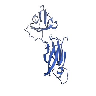 29504_8fwg_93_v1-0
Structure of neck and portal vertex of Agrobacterium phage Milano, C5 symmetry