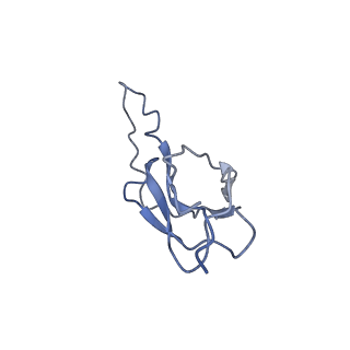 29504_8fwg_D4_v1-0
Structure of neck and portal vertex of Agrobacterium phage Milano, C5 symmetry