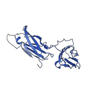 29504_8fwg_J3_v1-0
Structure of neck and portal vertex of Agrobacterium phage Milano, C5 symmetry