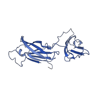 29504_8fwg_K3_v1-0
Structure of neck and portal vertex of Agrobacterium phage Milano, C5 symmetry