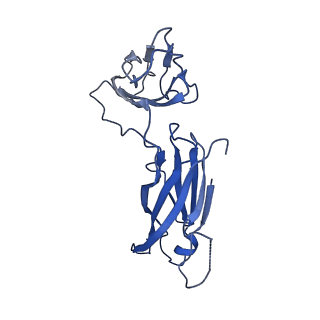 29504_8fwg_O3_v1-0
Structure of neck and portal vertex of Agrobacterium phage Milano, C5 symmetry