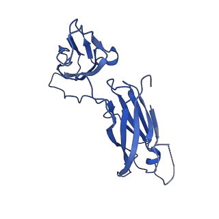 29504_8fwg_P3_v1-0
Structure of neck and portal vertex of Agrobacterium phage Milano, C5 symmetry