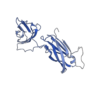 29504_8fwg_Q3_v1-0
Structure of neck and portal vertex of Agrobacterium phage Milano, C5 symmetry