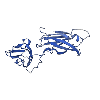 29504_8fwg_S3_v1-0
Structure of neck and portal vertex of Agrobacterium phage Milano, C5 symmetry