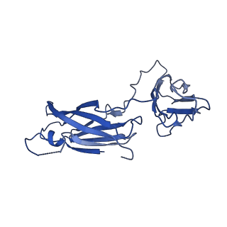 29504_8fwg_a3_v1-0
Structure of neck and portal vertex of Agrobacterium phage Milano, C5 symmetry