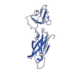 29504_8fwg_d3_v1-0
Structure of neck and portal vertex of Agrobacterium phage Milano, C5 symmetry