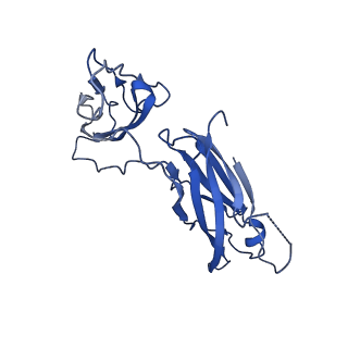 29504_8fwg_f3_v1-0
Structure of neck and portal vertex of Agrobacterium phage Milano, C5 symmetry