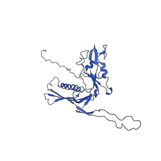 29504_8fwg_g1_v1-0
Structure of neck and portal vertex of Agrobacterium phage Milano, C5 symmetry