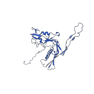 29504_8fwg_g2_v1-0
Structure of neck and portal vertex of Agrobacterium phage Milano, C5 symmetry