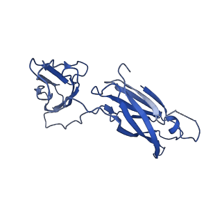 29504_8fwg_g3_v1-0
Structure of neck and portal vertex of Agrobacterium phage Milano, C5 symmetry