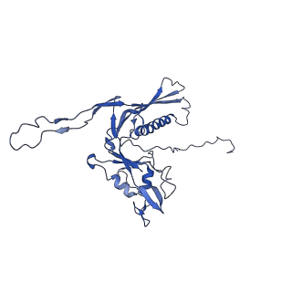 29504_8fwg_g5_v1-0
Structure of neck and portal vertex of Agrobacterium phage Milano, C5 symmetry