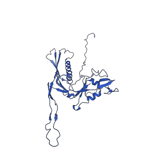 29504_8fwg_g6_v1-0
Structure of neck and portal vertex of Agrobacterium phage Milano, C5 symmetry