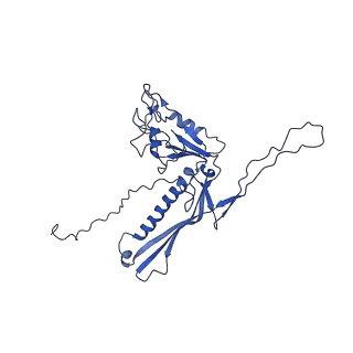 29504_8fwg_h1_v1-0
Structure of neck and portal vertex of Agrobacterium phage Milano, C5 symmetry