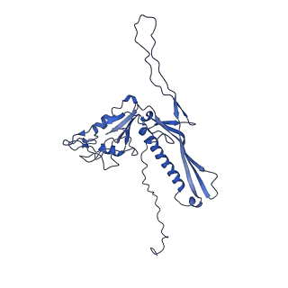 29504_8fwg_h2_v1-0
Structure of neck and portal vertex of Agrobacterium phage Milano, C5 symmetry