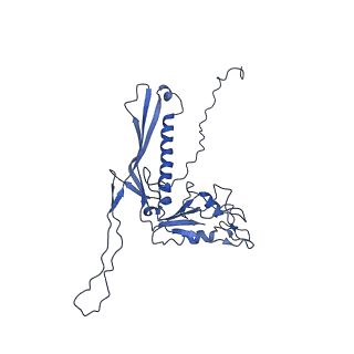 29504_8fwg_h5_v1-0
Structure of neck and portal vertex of Agrobacterium phage Milano, C5 symmetry