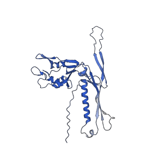 29504_8fwg_k1_v1-0
Structure of neck and portal vertex of Agrobacterium phage Milano, C5 symmetry