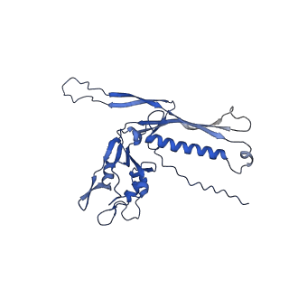 29504_8fwg_k2_v1-0
Structure of neck and portal vertex of Agrobacterium phage Milano, C5 symmetry