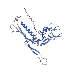 29504_8fwg_k5_v1-0
Structure of neck and portal vertex of Agrobacterium phage Milano, C5 symmetry
