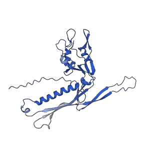 29504_8fwg_k6_v1-0
Structure of neck and portal vertex of Agrobacterium phage Milano, C5 symmetry