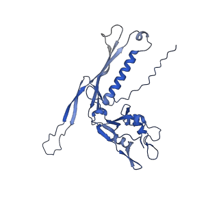 29504_8fwg_k7_v1-0
Structure of neck and portal vertex of Agrobacterium phage Milano, C5 symmetry