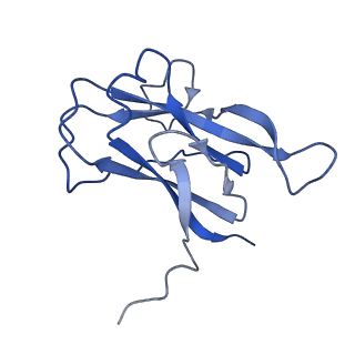 29504_8fwg_l1_v1-0
Structure of neck and portal vertex of Agrobacterium phage Milano, C5 symmetry