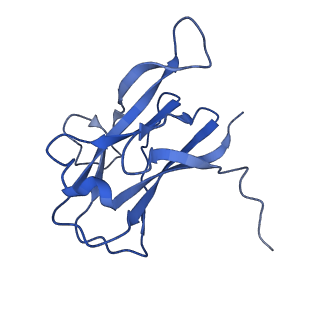 29504_8fwg_l2_v1-0
Structure of neck and portal vertex of Agrobacterium phage Milano, C5 symmetry