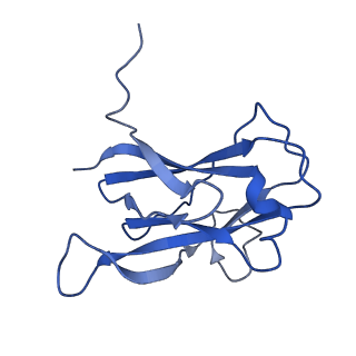 29504_8fwg_l5_v1-0
Structure of neck and portal vertex of Agrobacterium phage Milano, C5 symmetry