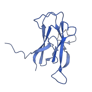 29504_8fwg_l6_v1-0
Structure of neck and portal vertex of Agrobacterium phage Milano, C5 symmetry