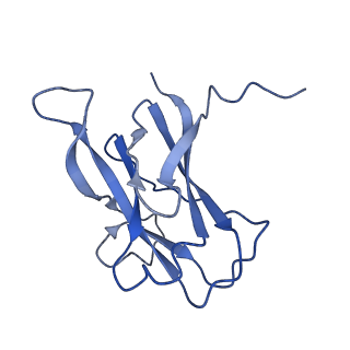 29504_8fwg_l7_v1-0
Structure of neck and portal vertex of Agrobacterium phage Milano, C5 symmetry