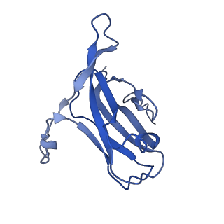 29504_8fwg_m6_v1-0
Structure of neck and portal vertex of Agrobacterium phage Milano, C5 symmetry
