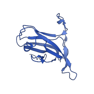 29504_8fwg_m7_v1-0
Structure of neck and portal vertex of Agrobacterium phage Milano, C5 symmetry