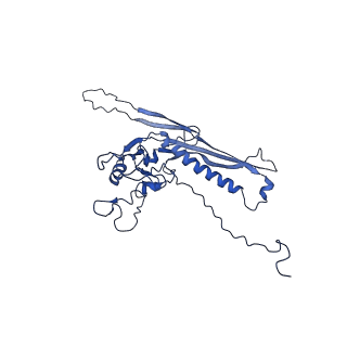 29504_8fwg_n1_v1-0
Structure of neck and portal vertex of Agrobacterium phage Milano, C5 symmetry