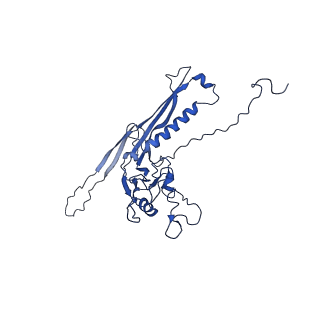 29504_8fwg_n2_v1-0
Structure of neck and portal vertex of Agrobacterium phage Milano, C5 symmetry
