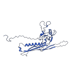 29504_8fwg_n5_v1-0
Structure of neck and portal vertex of Agrobacterium phage Milano, C5 symmetry