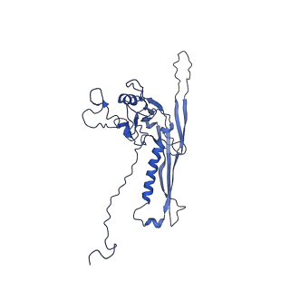29504_8fwg_n6_v1-0
Structure of neck and portal vertex of Agrobacterium phage Milano, C5 symmetry