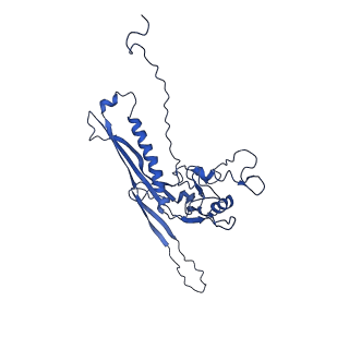 29504_8fwg_n7_v1-0
Structure of neck and portal vertex of Agrobacterium phage Milano, C5 symmetry