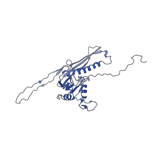 29504_8fwg_o1_v1-0
Structure of neck and portal vertex of Agrobacterium phage Milano, C5 symmetry