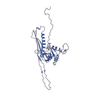 29504_8fwg_o2_v1-0
Structure of neck and portal vertex of Agrobacterium phage Milano, C5 symmetry
