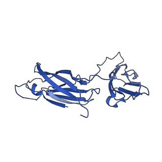 29504_8fwg_o3_v1-0
Structure of neck and portal vertex of Agrobacterium phage Milano, C5 symmetry