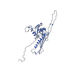 29504_8fwg_o5_v1-0
Structure of neck and portal vertex of Agrobacterium phage Milano, C5 symmetry