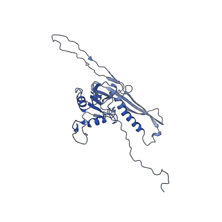 29504_8fwg_o6_v1-0
Structure of neck and portal vertex of Agrobacterium phage Milano, C5 symmetry