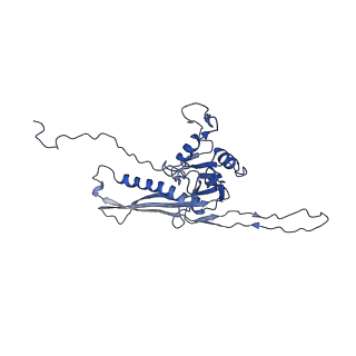 29504_8fwg_o7_v1-0
Structure of neck and portal vertex of Agrobacterium phage Milano, C5 symmetry