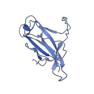 29504_8fwg_p2_v1-0
Structure of neck and portal vertex of Agrobacterium phage Milano, C5 symmetry