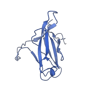 29504_8fwg_p5_v1-0
Structure of neck and portal vertex of Agrobacterium phage Milano, C5 symmetry