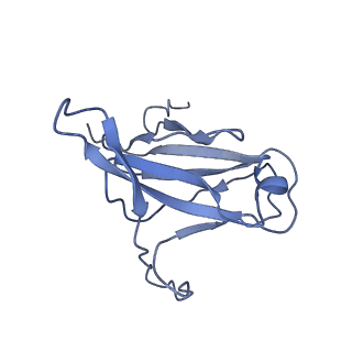 29504_8fwg_p6_v1-0
Structure of neck and portal vertex of Agrobacterium phage Milano, C5 symmetry