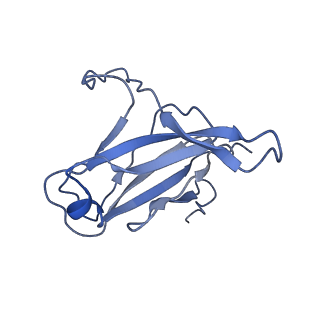29504_8fwg_p7_v1-0
Structure of neck and portal vertex of Agrobacterium phage Milano, C5 symmetry
