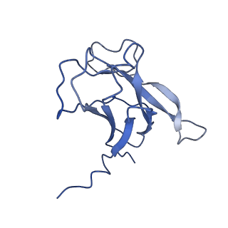 29504_8fwg_q6_v1-0
Structure of neck and portal vertex of Agrobacterium phage Milano, C5 symmetry