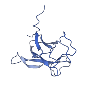 29504_8fwg_q7_v1-0
Structure of neck and portal vertex of Agrobacterium phage Milano, C5 symmetry