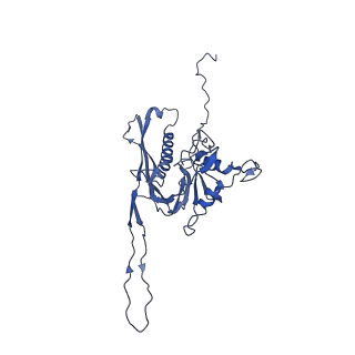 29504_8fwg_r1_v1-0
Structure of neck and portal vertex of Agrobacterium phage Milano, C5 symmetry